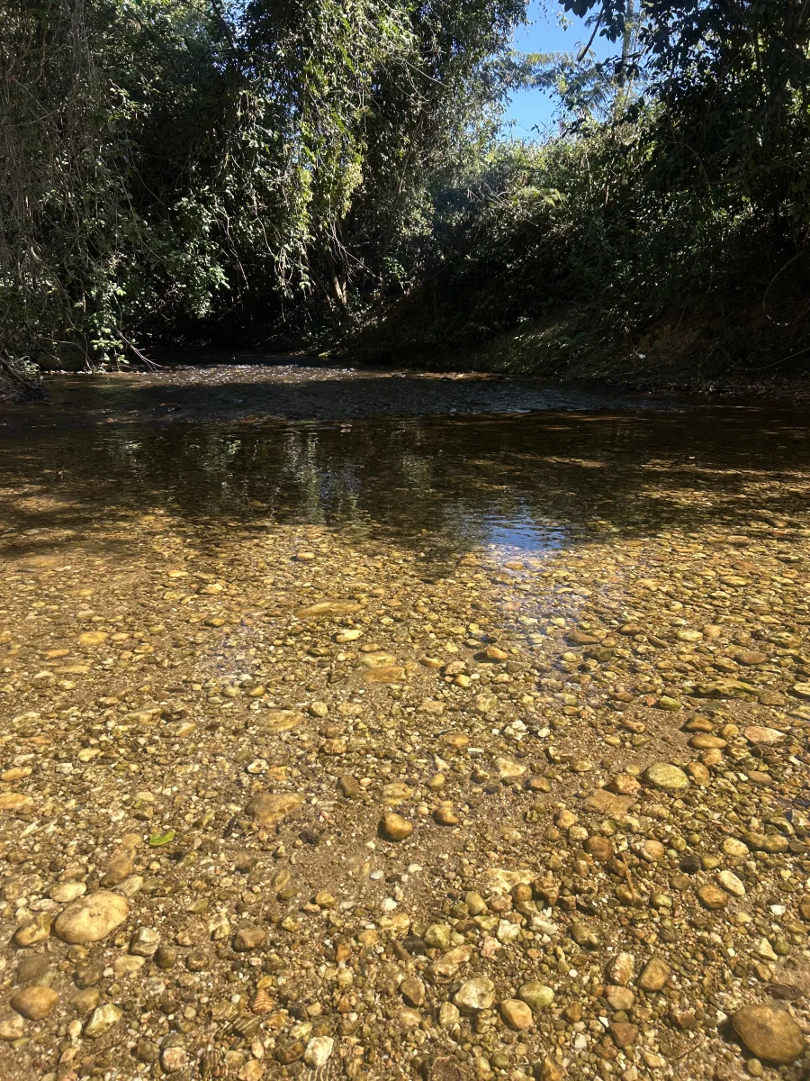 Chalé Lagoa Dourada